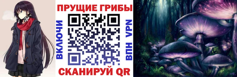 Псилоцибиновые грибы прущие грибы  Мамадыш 